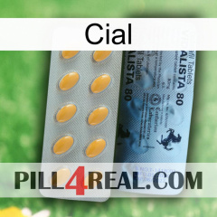 Cial 44